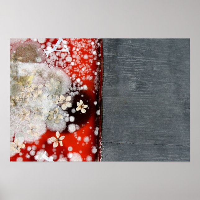 Poster Imortalidade 2 (Frente)