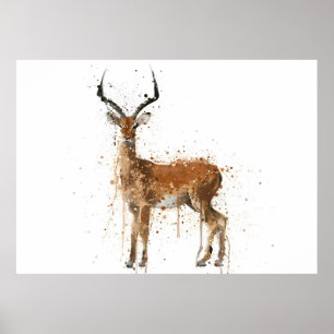 Poster Impala