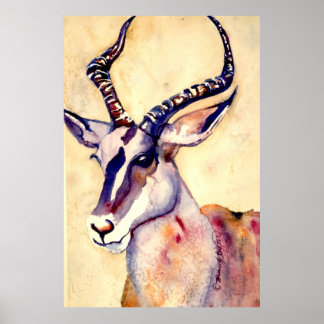 Poster Impala Watercolor