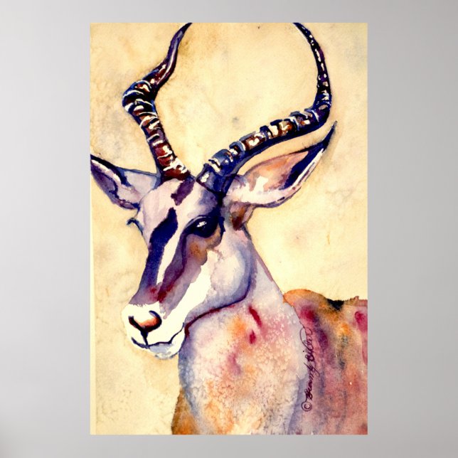 Poster Impala Watercolor (Frente)