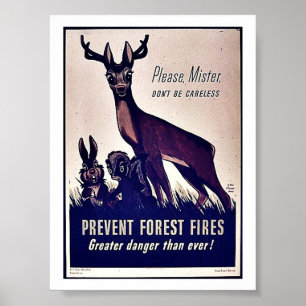 Póster Impeça incêndios florestais