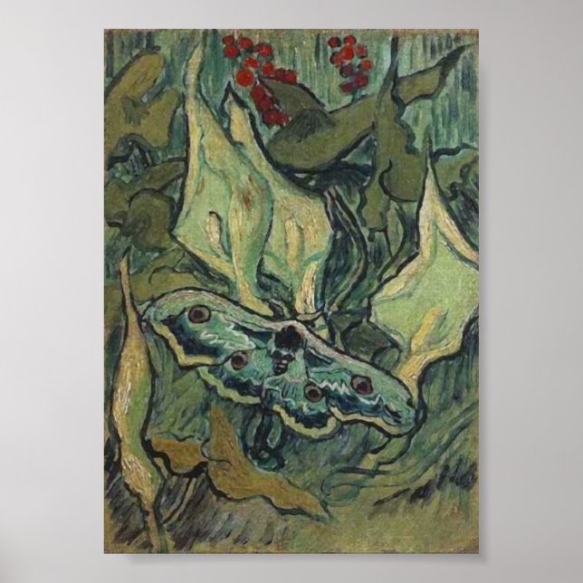 Poster Imperador ou Excelente Peacock Moth Van Gogh Fine  (Frente)