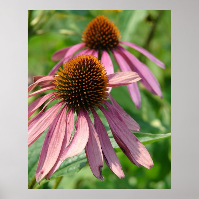 Póster Imperfeição (Frente)