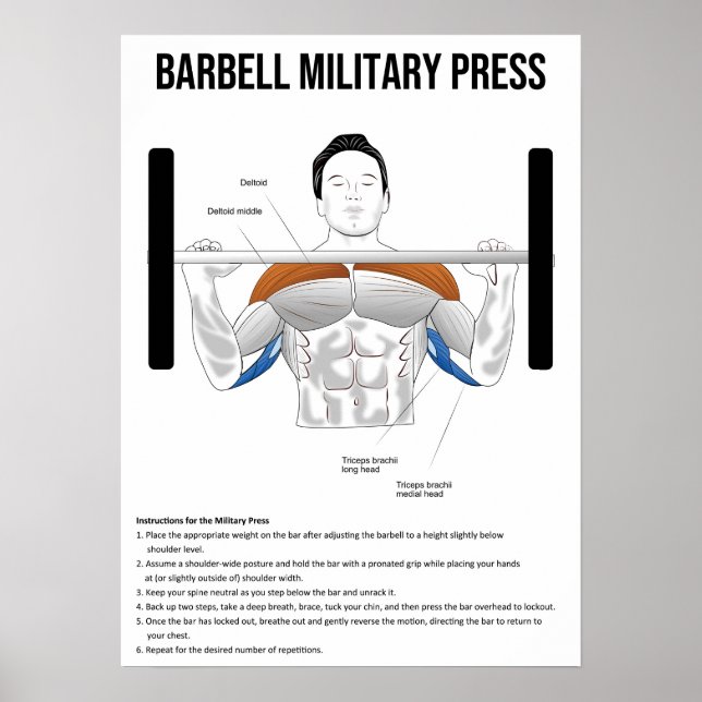 Poster Imprensa Militar - Exercício - Gráfico de Anatomia (Frente)