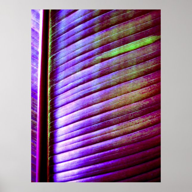 poster Impressão (Frente)