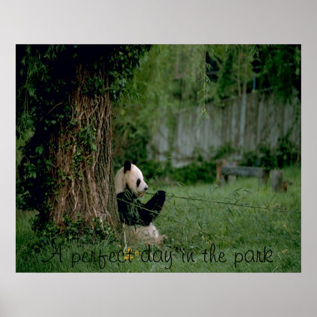 Poster impressão (Frente)