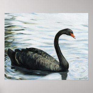 Póster "Impressão da arte do pássaro da cisne preta"