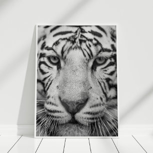 Poster Impressão de Tigre Preto e Branco