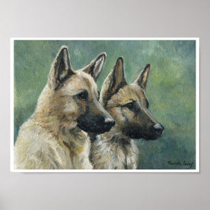 Póster "Impressão do german shepherd do dever dobro" do