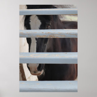 Poster Impressão, papel de cartaz de valor (semi-brilho)