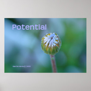 Póster Impressão/Poster do Blue Daisy Bud - "Potencial"