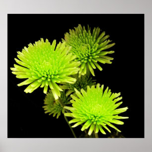 Póster Impressão/poster verdes das flores