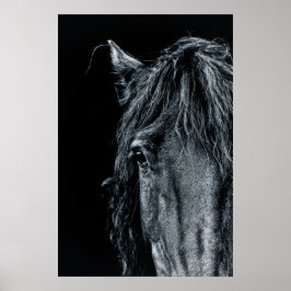 Poster Impressionante retrato de cavalo preto