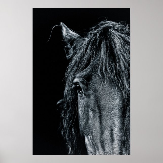 Poster Impressionante retrato de cavalo preto (Frente)
