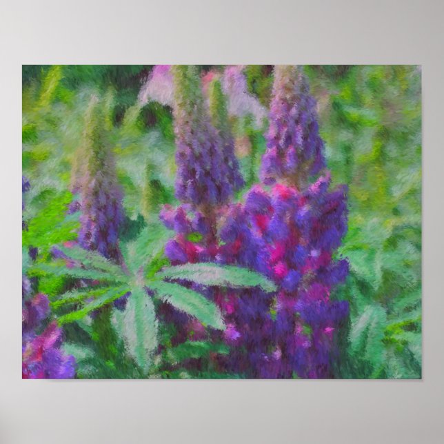 Póster Impressionista Lupine Trio Pintura Fotográfica em  (Frente)