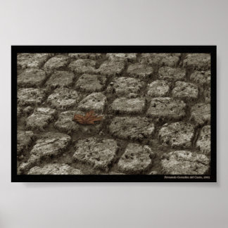 Póster In-der-welt-sein