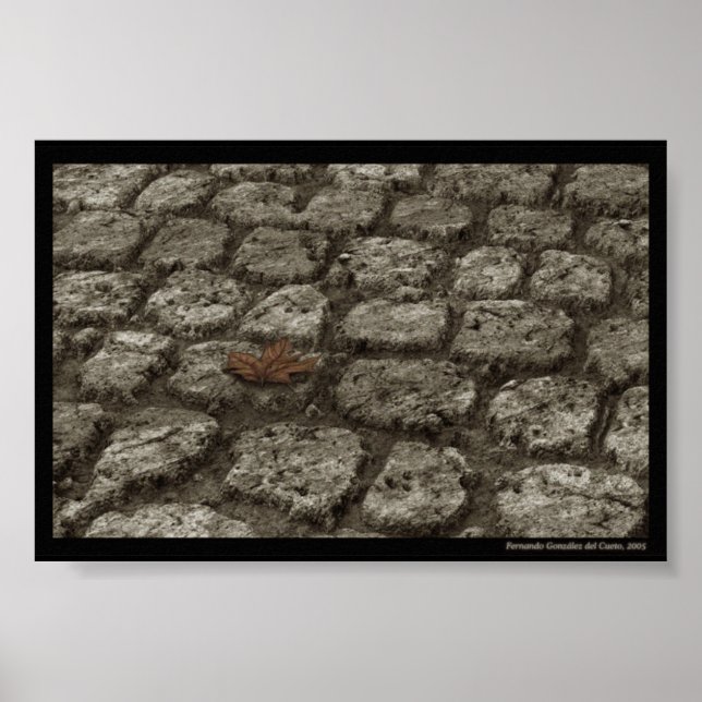 Póster In-der-welt-sein (Frente)