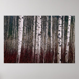 Póster In The Woods.