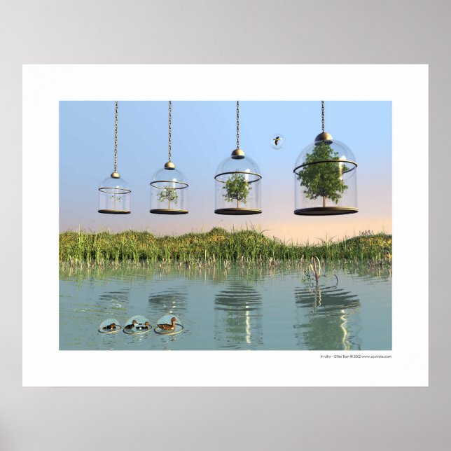 Póster In vitro (Frente)