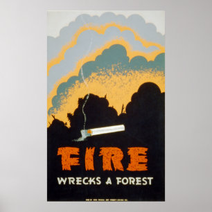 Poster Incêndio destrói uma floresta