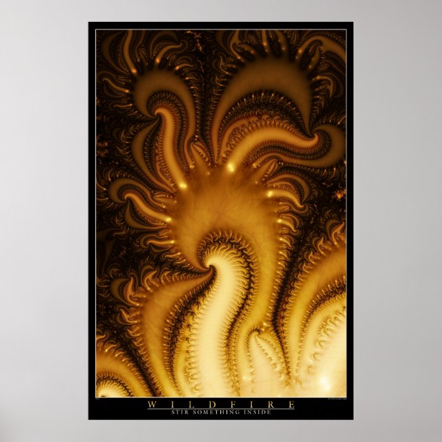 Póster Incêndio florestal (Frente)