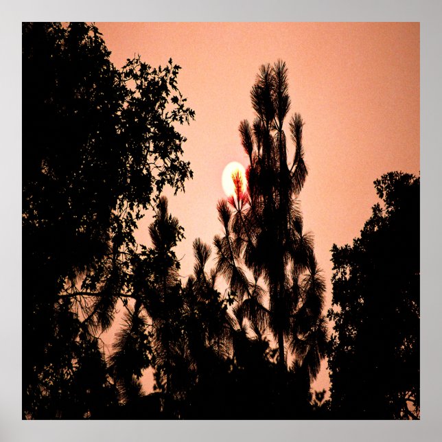 Poster Incêndio no Vale do Índio....... (Frente)