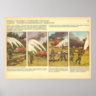 Póster incêndios florestais