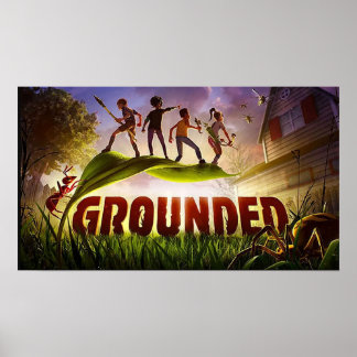 Poster Inchado