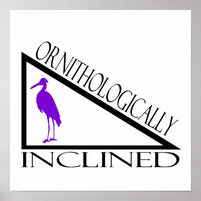 Póster Inclinação Ornitológica (Frente)