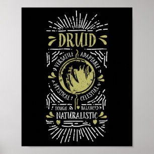 Poster Incrível jogador de RPG Druida de Wow 1