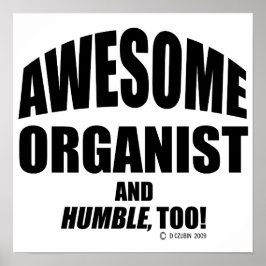 Póster Incrível Organizador