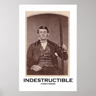 Póster Indestrutível (Phineas Gage)
