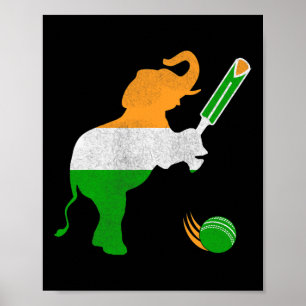 Poster Índia Críquete 1 