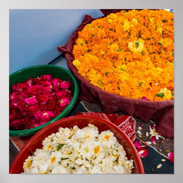 Poster Índia, Rajasthan, Pipar (Frente)