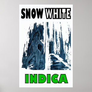 POSTER INDICA BRANCA DE NEVE