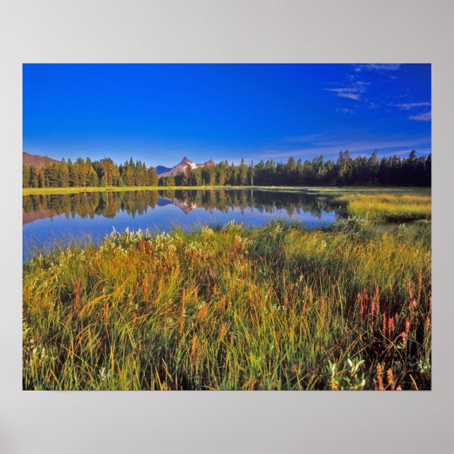 Póster Índice de pico reflete-se no lago de lama no (Frente)
