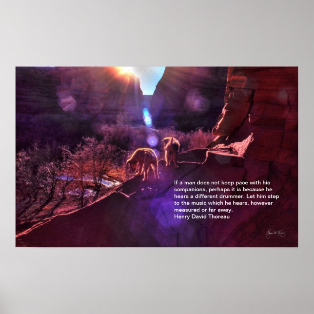 Poster Indígenas saudaram o novo dia em Canyon DeChell (Frente)