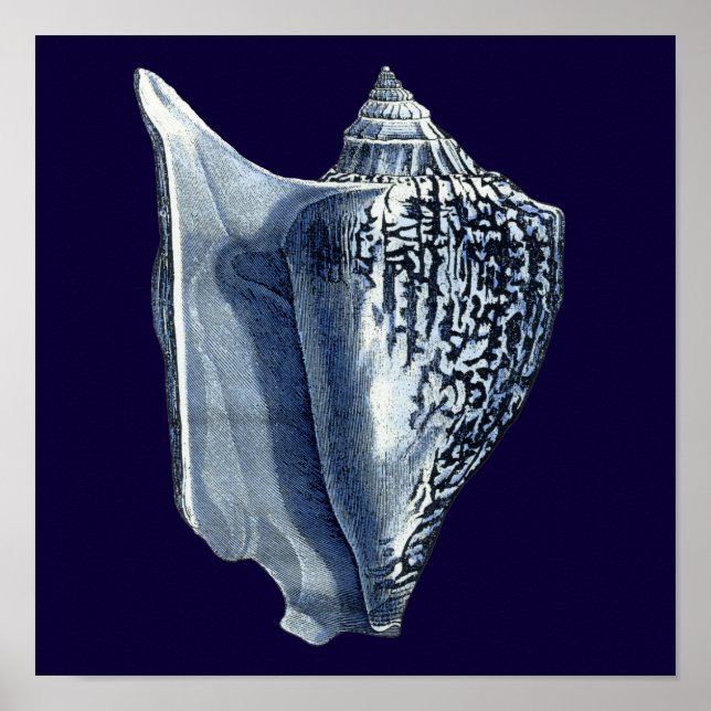 Poster Indigo Shells I (Frente)