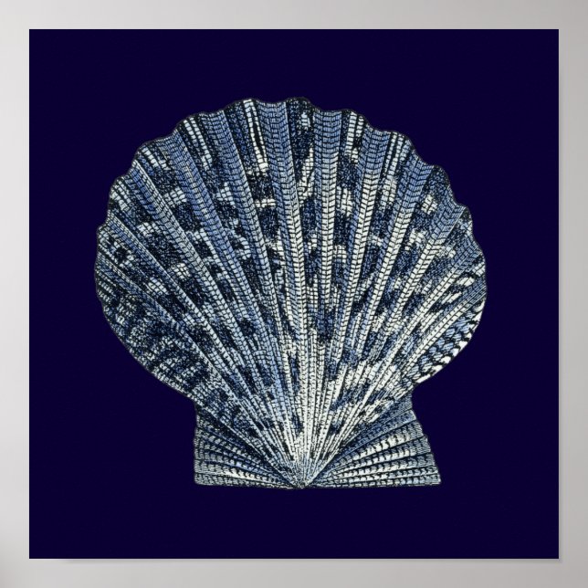 Póster Indigo Shells VIII (Frente)
