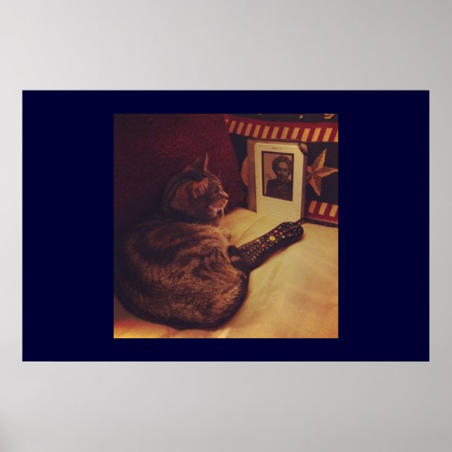 Póster Indigo's Kindle (Frente)