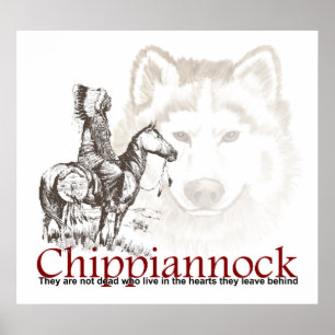 Poster índio americano Eles não são mortos