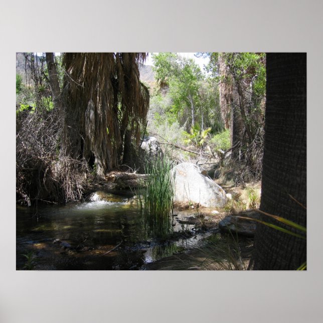 Póster índio Canyon (2) (Frente)