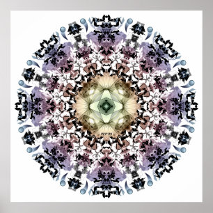 Poster Índio mágico