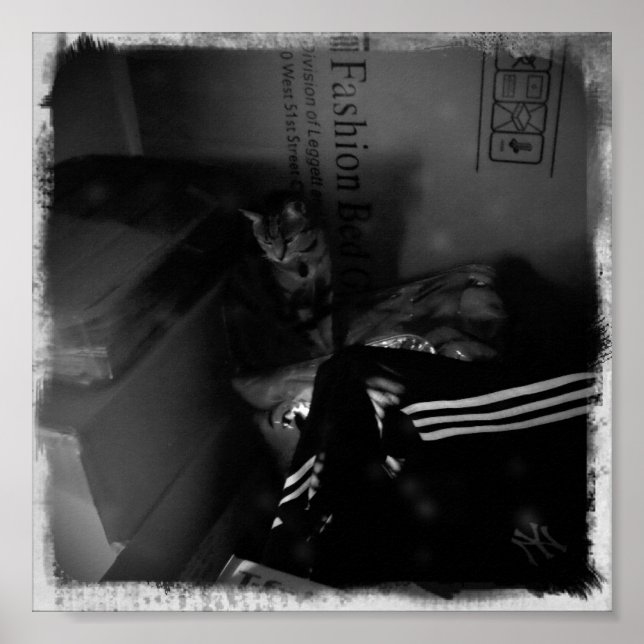 Póster índio Movendo Auxiliar (Frente)