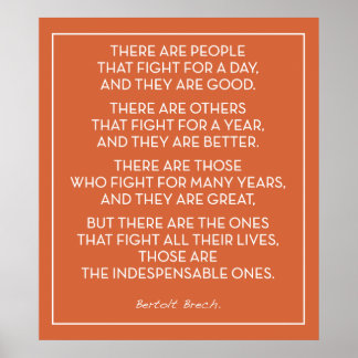 POSTER INDISPENSÁVEIS