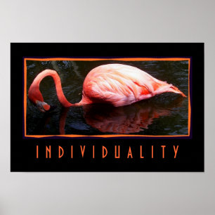 Póster Individualidade