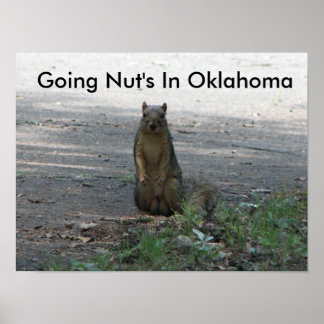 Póster Indo a Nut em Oklahoma