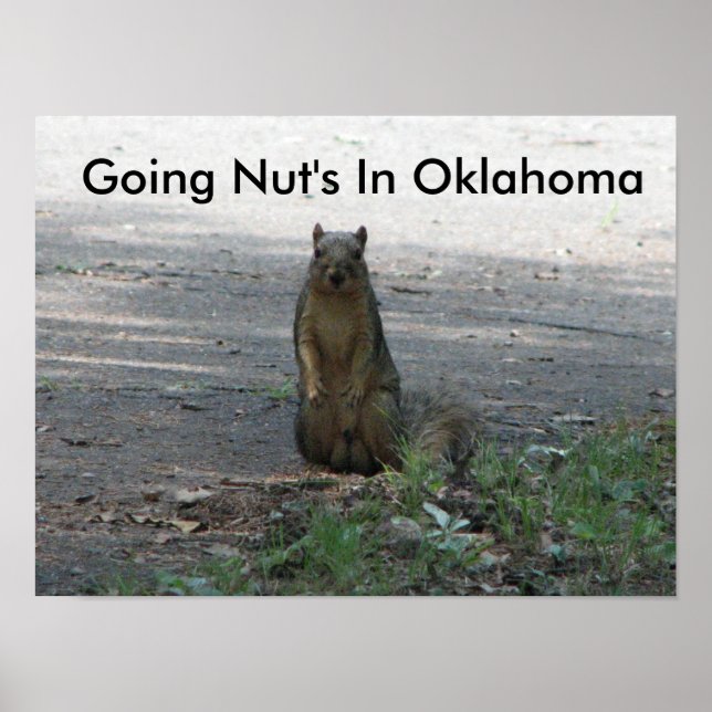 Póster Indo a Nut em Oklahoma (Frente)