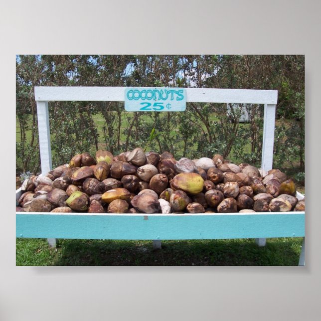 Poster Indo para Cocos (Frente)