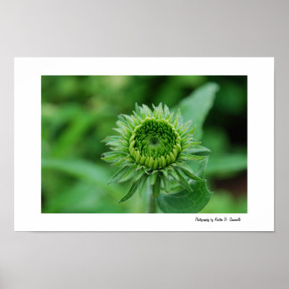 Poster Indo para o Verde